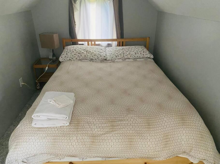Artistic Apartment Near Downtown Victoria Luaran gambar