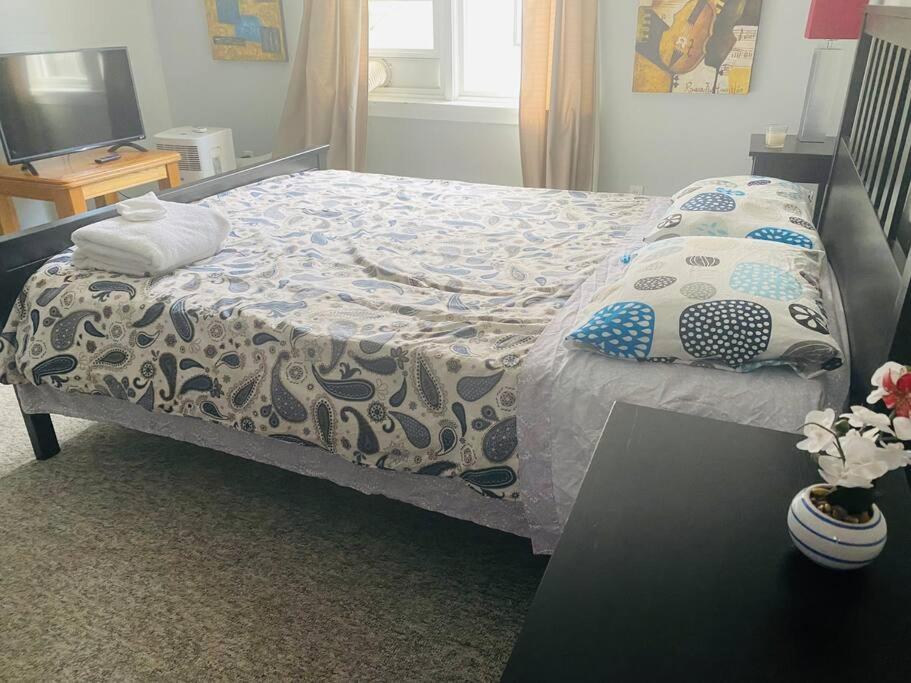 Artistic Apartment Near Downtown Victoria Luaran gambar