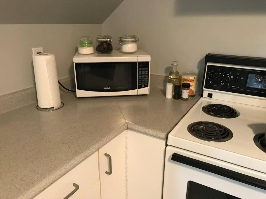 Artistic Apartment Near Downtown Victoria Luaran gambar