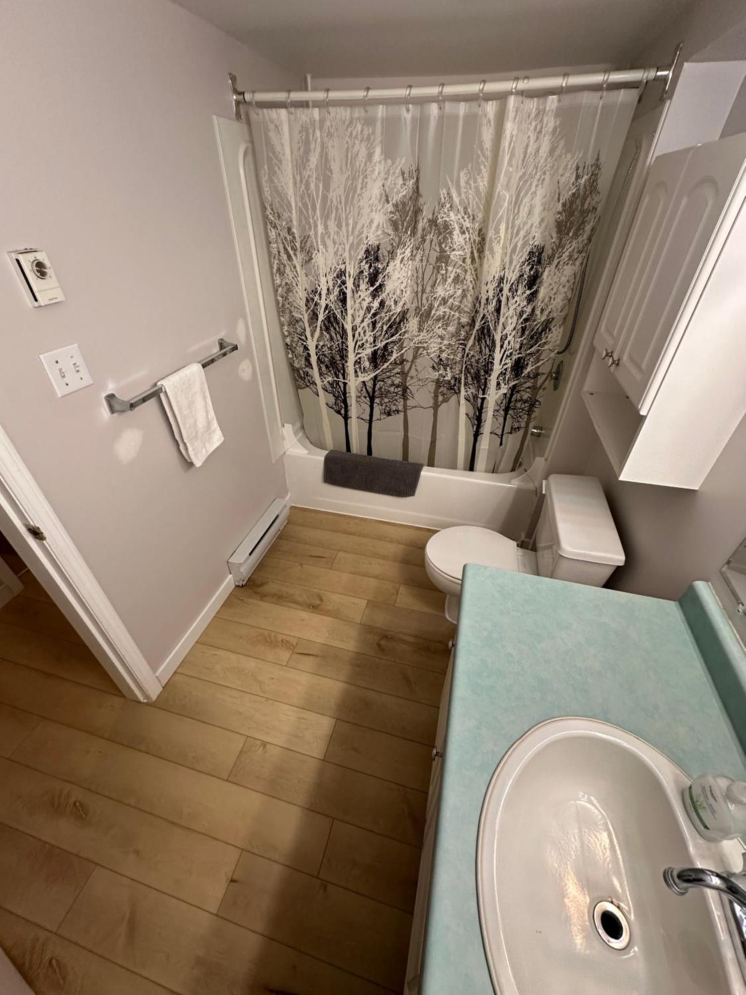 Artistic Apartment Near Downtown Victoria Luaran gambar